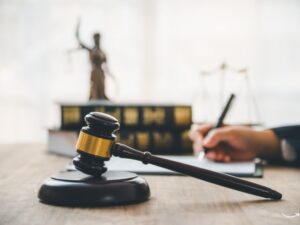 Environmental Law Degree: A Pathway to Protecting Our Planet