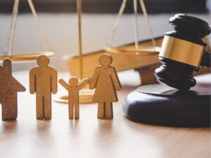 Breaking Barriers and Building Futures: Exploring the Top Immigration Law School Rankings