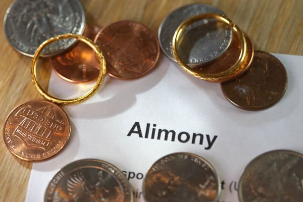 types of alimony